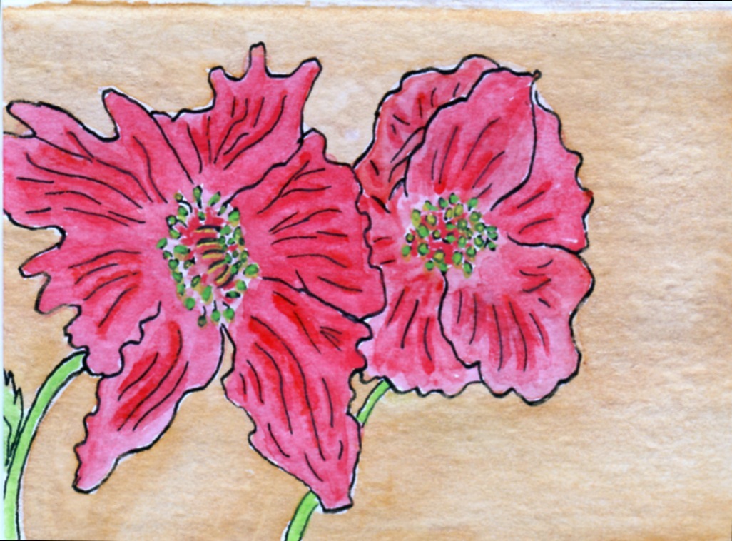 poppies-watercolors-by-susan-medyn