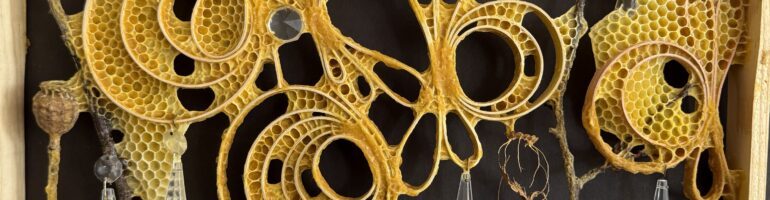 Poppy Pods Art in collaboration with bees