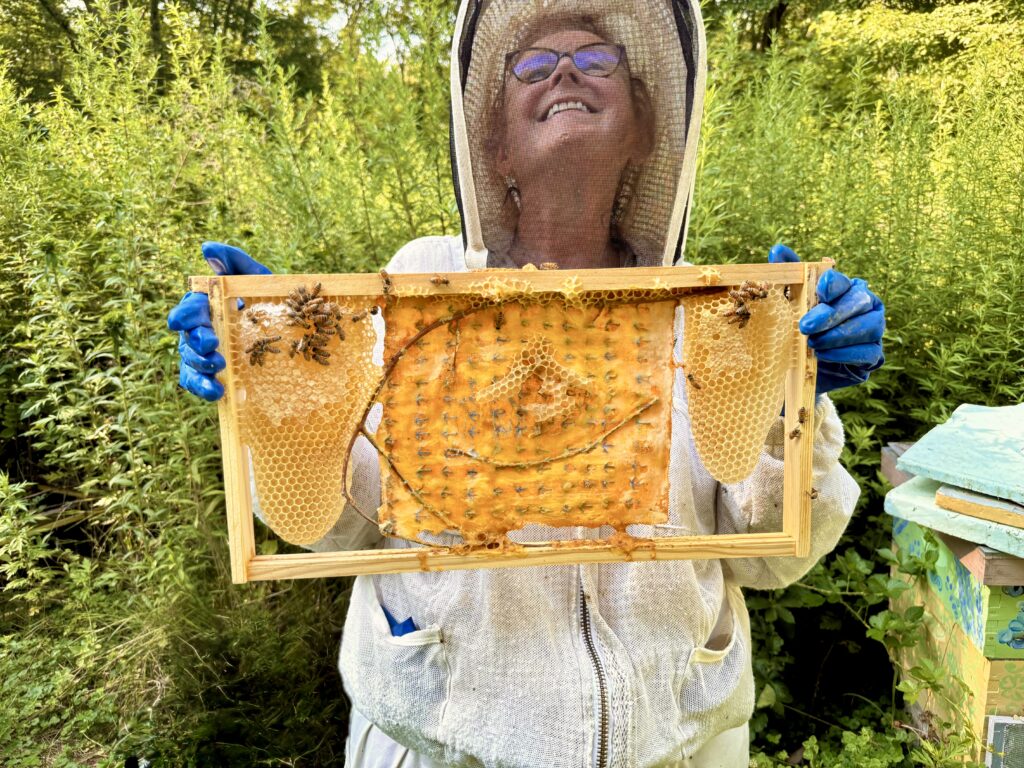 Susan Medyn in one of her apiaries.